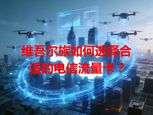 维吾尔族如何选择合适的电信流量卡？