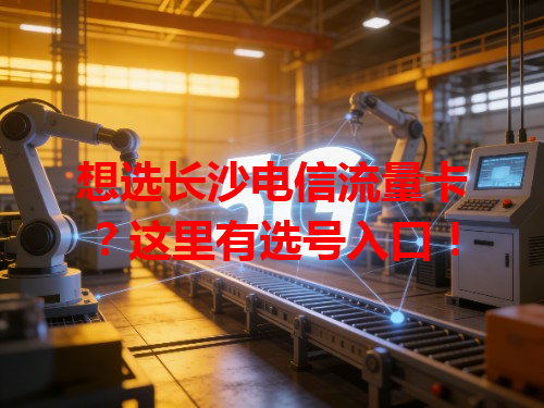 想选长沙电信流量卡？这里有选号入口！