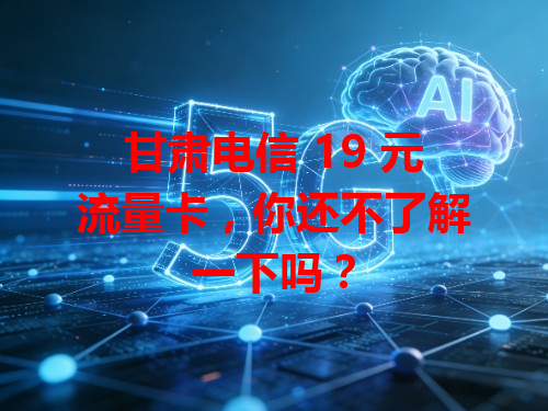 甘肃电信 19 元流量卡，你还不了解一下吗？
