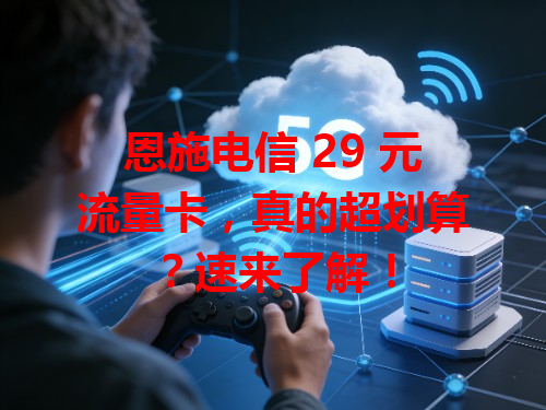 恩施电信 29 元流量卡，真的超划算？速来了解！