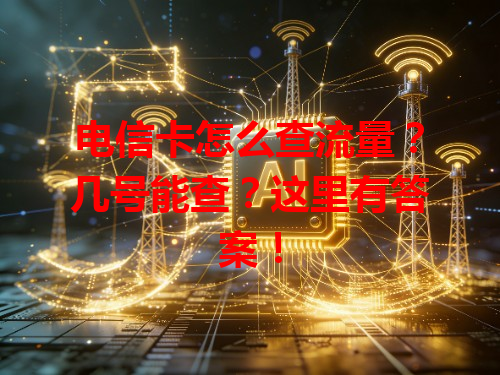 电信卡怎么查流量？几号能查？这里有答案！