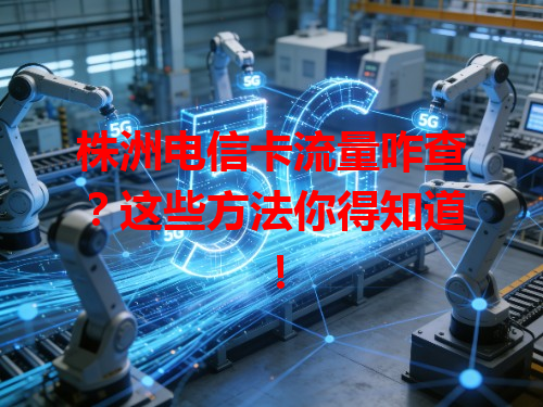 株洲电信卡流量咋查？这些方法你得知道！