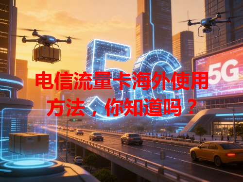 电信流量卡海外使用方法，你知道吗？