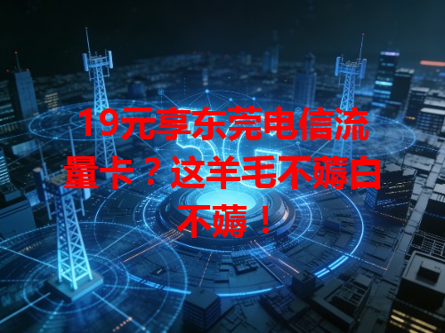 19元享东莞电信流量卡？这羊毛不薅白不薅！