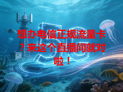 想办电信正规流量卡？来这个直播间就对啦！