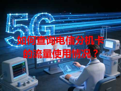 如何查询电信分机卡的流量使用情况？