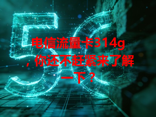 电信流量卡314g，你还不赶紧来了解一下？
