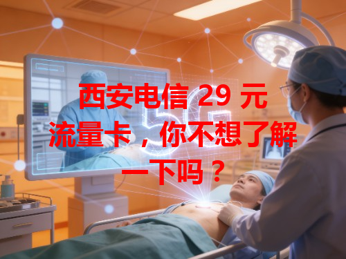 西安电信 29 元流量卡，你不想了解一下吗？