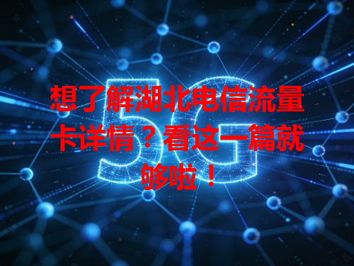 想了解湖北电信流量卡详情？看这一篇就够啦！