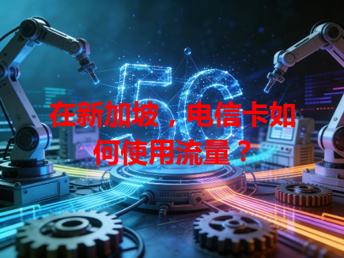 在新加坡，电信卡如何使用流量？