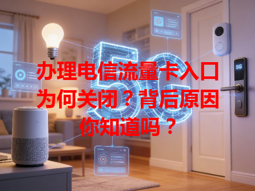 办理电信流量卡入口为何关闭？背后原因你知道吗？