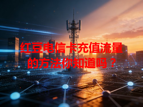 红豆电信卡充值流量的方法你知道吗？