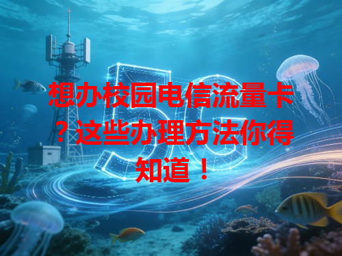 想办校园电信流量卡？这些办理方法你得知道！