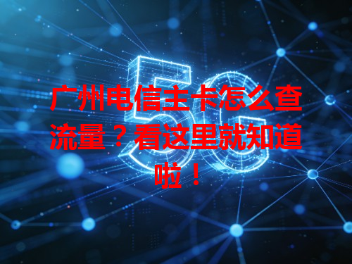 广州电信主卡怎么查流量？看这里就知道啦！
