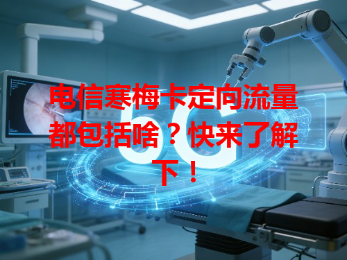 电信寒梅卡定向流量都包括啥？快来了解下！