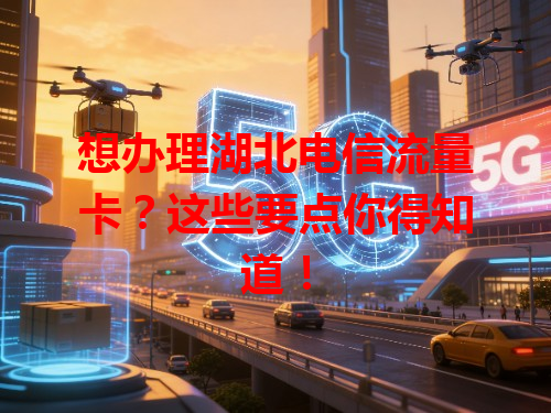 想办理湖北电信流量卡？这些要点你得知道！