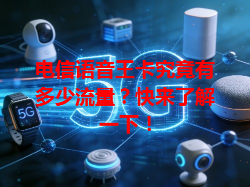 电信语音王卡究竟有多少流量？快来了解一下！