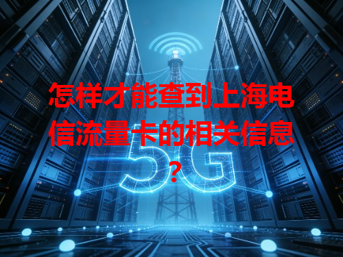 怎样才能查到上海电信流量卡的相关信息？