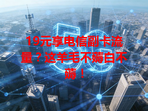 19元享电信副卡流量？这羊毛不薅白不薅！