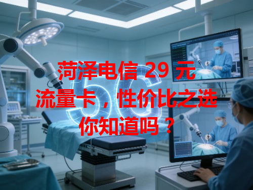 菏泽电信 29 元流量卡，性价比之选你知道吗？