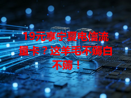 19元享宁夏电信流量卡？这羊毛不薅白不薅！