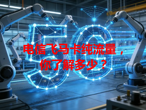 电信飞马卡纯流量，你了解多少？