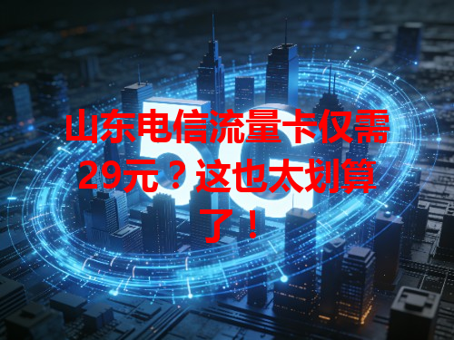 山东电信流量卡仅需29元？这也太划算了！