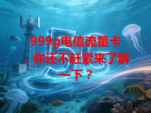 999g电信流量卡，你还不赶紧来了解一下？