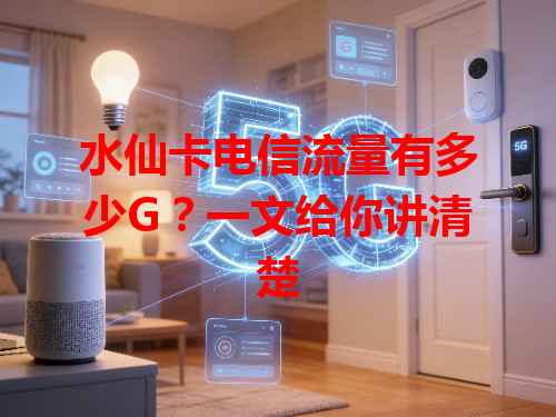 水仙卡电信流量有多少G？一文给你讲清楚