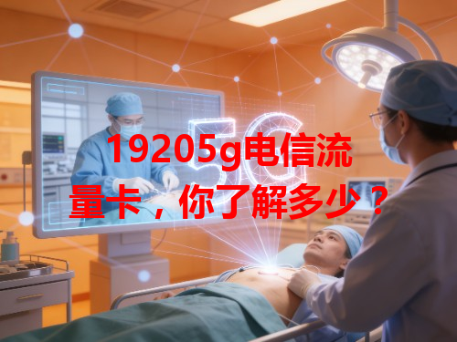 19205g电信流量卡，你了解多少？