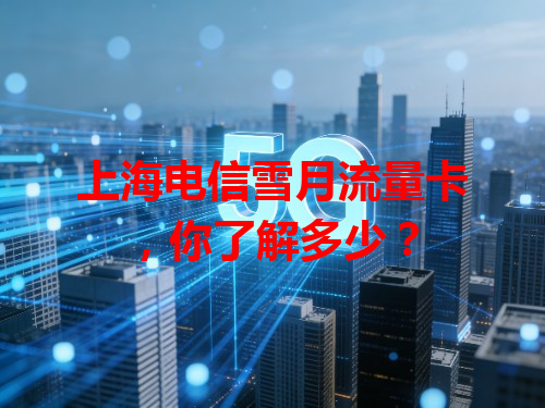 上海电信雪月流量卡，你了解多少？
