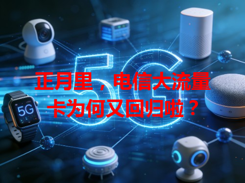 正月里，电信大流量卡为何又回归啦？