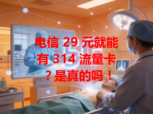 电信 29 元就能有 314 流量卡？是真的吗！