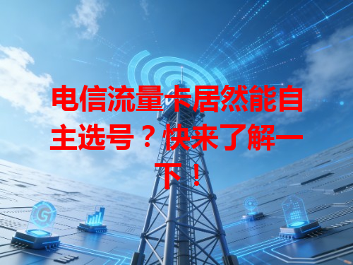 电信流量卡居然能自主选号？快来了解一下！
