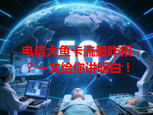 电信大鱼卡流量咋扣？一文给你讲明白！