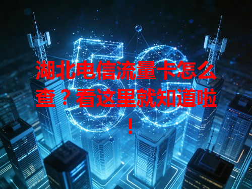 湖北电信流量卡怎么查？看这里就知道啦！