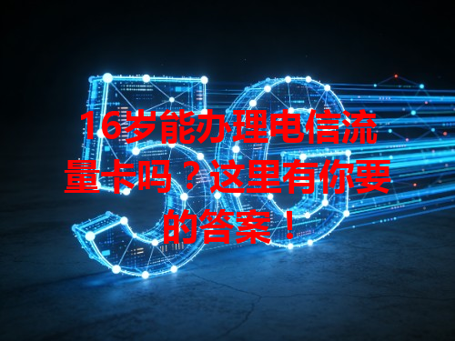 16岁能办理电信流量卡吗？这里有你要的答案！