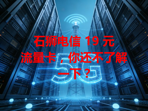 石狮电信 19 元流量卡，你还不了解一下？