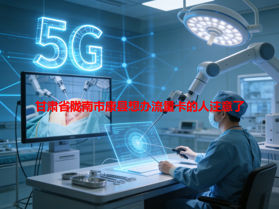 甘肃省陇南市康县想办流量卡的人注意了