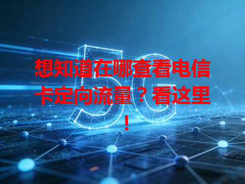 想知道在哪查看电信卡定向流量？看这里！