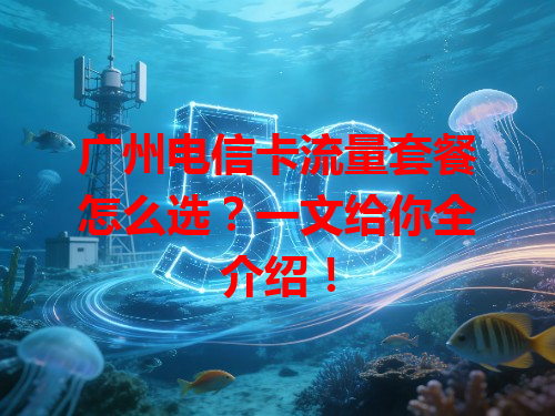 广州电信卡流量套餐怎么选？一文给你全介绍！