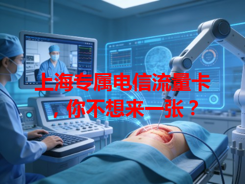 上海专属电信流量卡，你不想来一张？