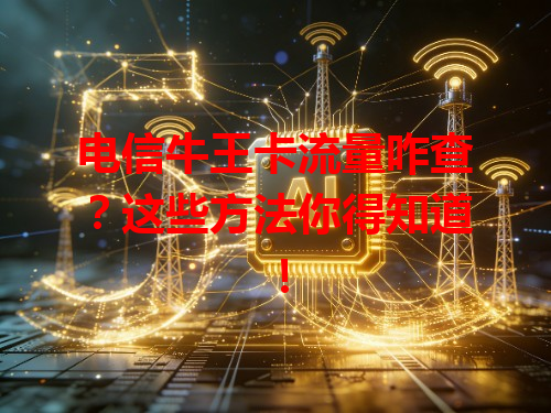 电信牛王卡流量咋查？这些方法你得知道！