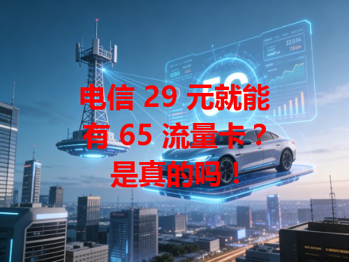 电信 29 元就能有 65 流量卡？是真的吗！