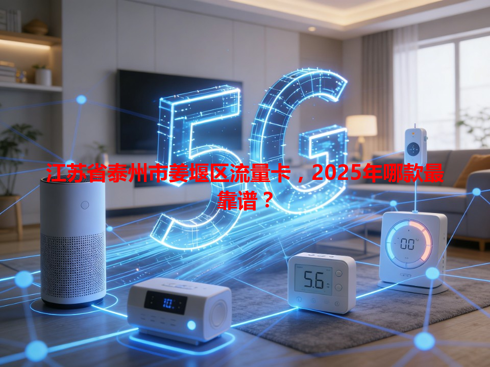 江苏省泰州市姜堰区流量卡，2025年哪款最靠谱？