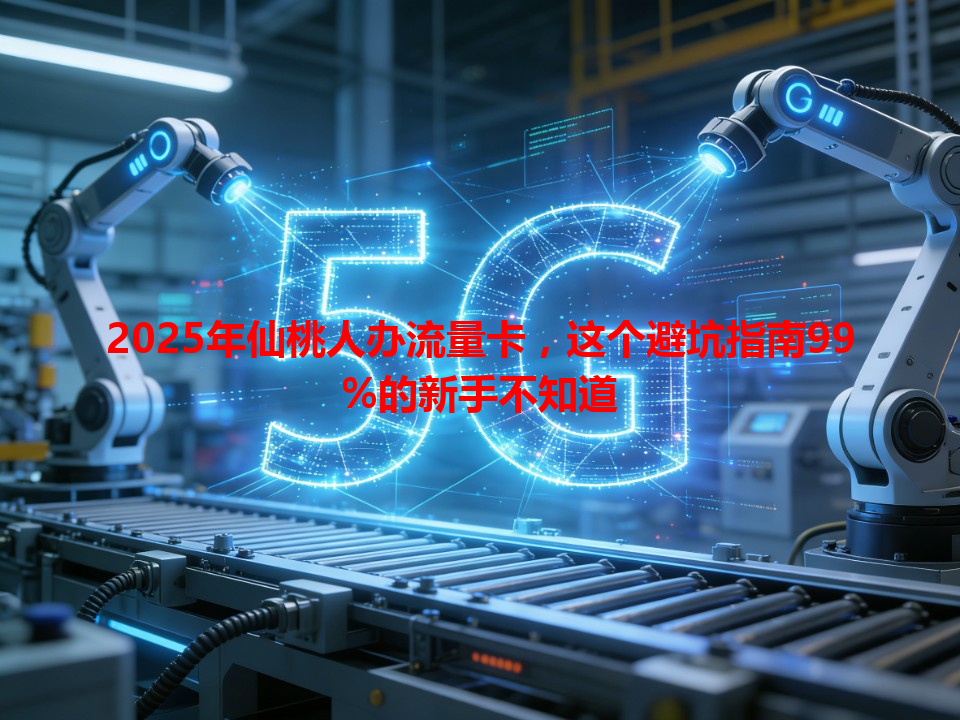 2025年仙桃人办流量卡，这个避坑指南99%的新手不知道