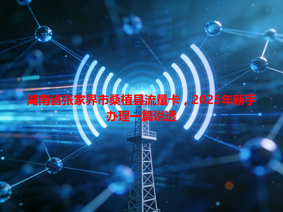 湖南省张家界市桑植县流量卡，2025年新手办理一篇说透