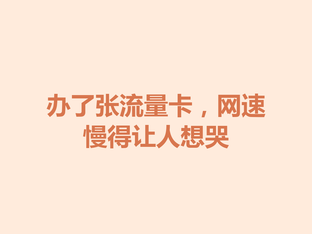办了张流量卡，网速慢得让人想哭