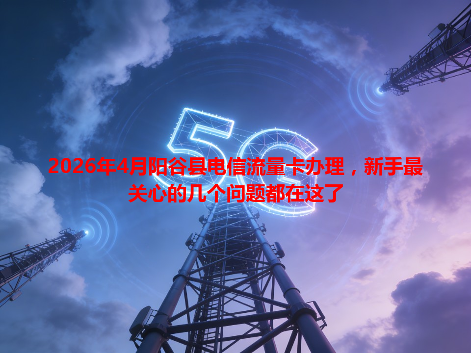 2026年4月阳谷县电信流量卡办理，新手最关心的几个问题都在这了