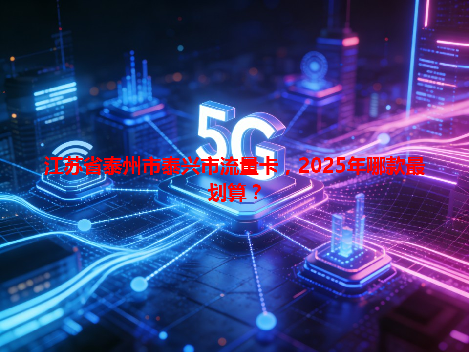 江苏省泰州市泰兴市流量卡，2025年哪款最划算？